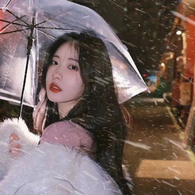 好莱坞狗日子
